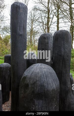 'Black Mound' di David Nash, RA.: Potente collezione di forme di quercia in un huddle scolpito, Tremenheere Sculpture Garden, Penzance, Cornovaglia, UK Foto Stock