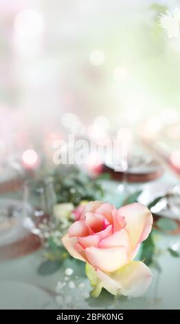 Bella rosa tenera su tavolo festivo con breve profondità di campo Foto Stock