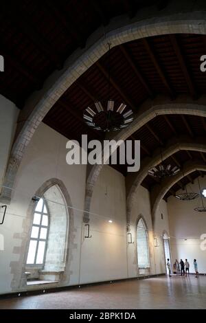 La Grande Sala del Palazzo dei Re di Maiorca. Perpignano. Pirenei Orientali. Occitanie.France Foto Stock