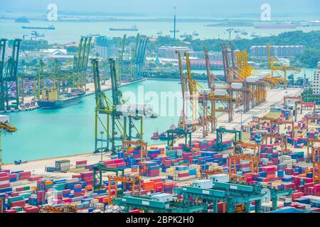 Vista aerea di Singapore porto commerciale, pile di spedizioni conteiners, nolo gru e il carico delle navi in porto Foto Stock