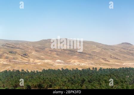 Oasi di Tamerza nel deserto del Sahara in Tunisia Foto Stock
