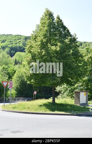 Strada verso la piccola città di Bad Breisig Foto Stock