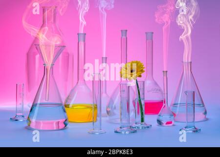 Varietà di riempire parzialmente la vetreria di laboratorio comprendente una testa di fiori e un po' di fumo in atmosfera colorata Foto Stock