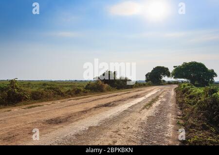 Brasiliano della strada sterrata in prospettiva. Famosi brasiliani Transpantaneira strada sterrata. Area Pantanal, Brasile Foto Stock