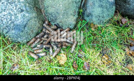 Scarico molto arrugginito perdite batterie alcaline gettate in modo improprio in montagna, non riciclate, stanno avvelenando l'ambiente, gettato in battaglia natura Foto Stock