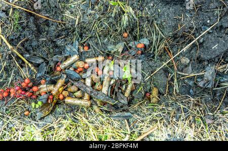 Scarico molto arrugginito perdite batterie alcaline gettate in modo errato via al campo di grano raccolto, non riciclati, stanno avvelenando l'ambiente, gettato dentro Foto Stock