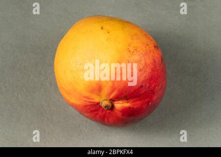 frutta di mango isolato su sfondo di ardesia pavimento Foto Stock