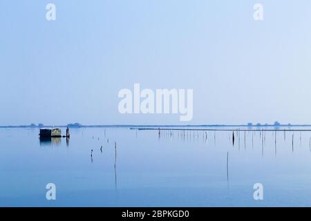 La molluschicoltura dal fiume Po laguna, Italia. Spiaggia di Scardovari. Italiano paesaggio rurale Foto Stock