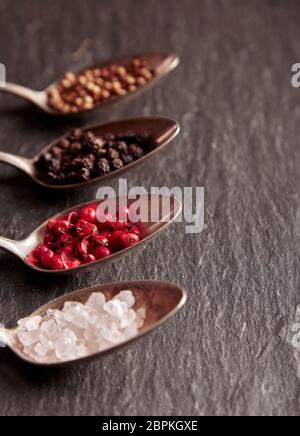 Spezie e sale assortimento su cucchiai di metallo in una fila in prospettiva il fuoco selettivo in close-up sulla superficie grigia con verticale lo spazio di copia Foto Stock