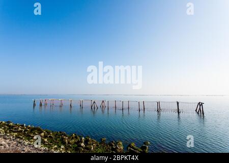 La molluschicoltura dal fiume Po laguna, Italia. Spiaggia di Scardovari. Italiano paesaggio rurale Foto Stock