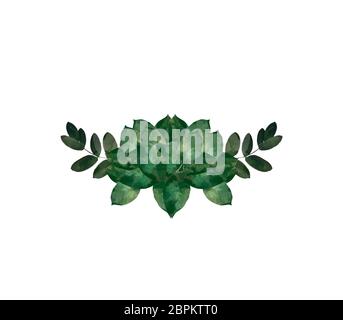 Acquerello moderno elemento decorativo. Eucalipto round foglia verde corona, verde rami, garland, border, cornice elegante acquerello isolato, Foto Stock