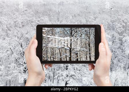 Concetto di viaggio - fotografie turistiche della coperta di neve rami di alberi di quercia nella foresta del parco cittadino di giornata invernale sullo smartphone a Mosca, Russia Foto Stock