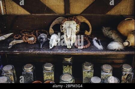 Teschi di capra per decorazione terrificanti, halloween dettaglio, stregoneria Foto Stock