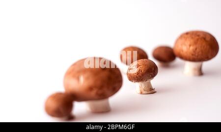 Un fungo spicca tra gli altri isolati su sfondo bianco Foto Stock