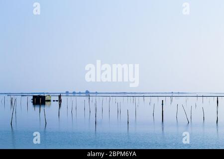 La molluschicoltura dal fiume Po laguna, Italia. Spiaggia di Scardovari. Italiano paesaggio rurale Foto Stock