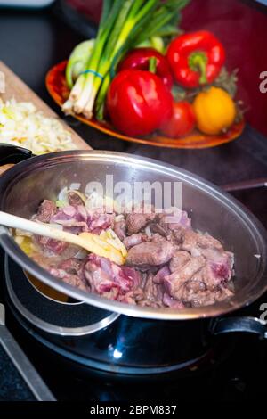 gulasch di selvaggina in pentola con cucchiaio, cipolla e verdure Foto Stock