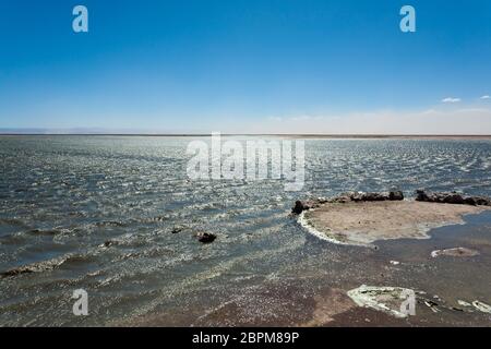 Flamingo riserva naturale del Cile. San Pedro de Atacama, los Flamencos Riserva nazionale Foto Stock