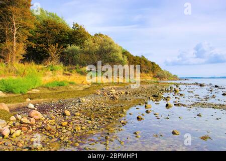 La scogliera costa sull'isola di Poel in Germania Foto Stock