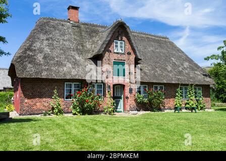 La foto mostra un museo casa con tetto di paglia sull'isola Amrum Foto Stock