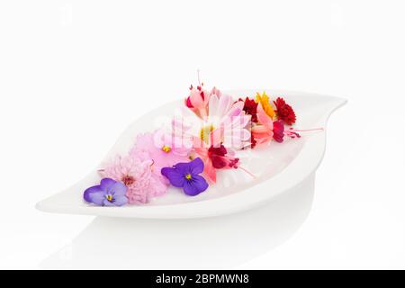Deliziosa insalata dal mix di fiori commestibili su piastra bianca su sfondo bianco. Delizie insalata fresca dal di sopra. Foto Stock