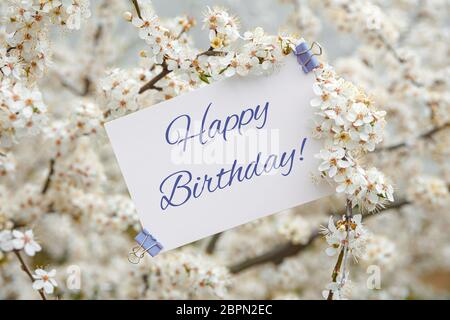 Cartellino bianco con iscrizione buon compleanno su sfondo di fiori bianchi di ciliegia Foto Stock