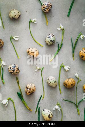 Sfondo di pasqua con uova di quaglia e snowdrop fiori. Molla dello sfondo. Overhead flatlay Pasqua Foto Stock
