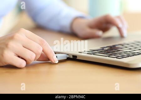 In prossimità di una donna mano collegare un pendrive in un computer portatile su un computer desktop Foto Stock