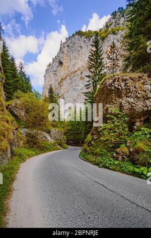 Strada nella Gola di Tigrad, Monti Rodopi nel sud della Bulgaria Foto Stock