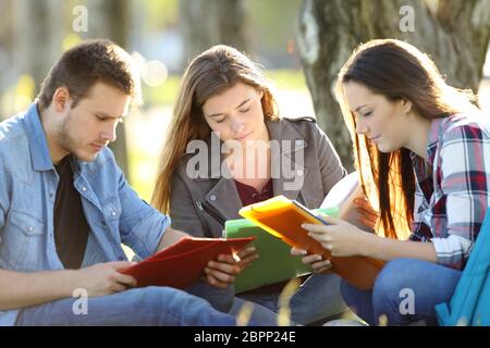 Tre studenti di memorizzare note di seduta sul prato in un parco con una luce calda Foto Stock