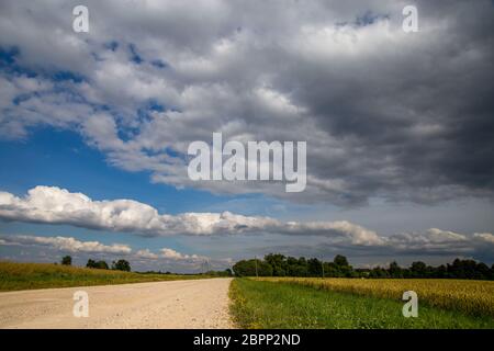 Paesaggio estivo con vuoto road, alberi e cielo blu.. Strada rurale, cornfield, legno e nuvoloso cielo blu. Classico paesaggio rurale in Lettonia. Foto Stock