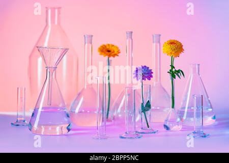 Varietà di riempire parzialmente la vetreria di laboratorio comprese alcune teste di fiori Foto Stock