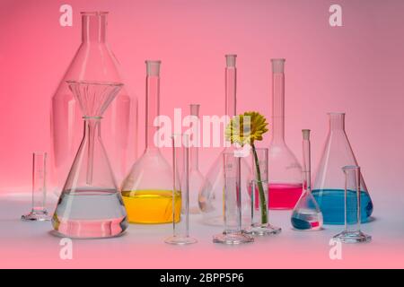 Varietà di riempire parzialmente la vetreria di laboratorio comprendente una testa di fiori Foto Stock