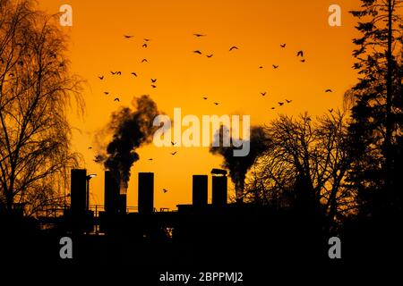 Gli uccelli sorvolano il fumo scuro comming da camini di una vecchia fabbrica. Foto Stock