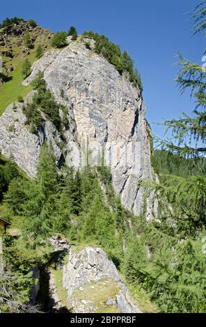 Scogliera a Obstanser prato terreno nelle Alpi Carniche del Tirolo Orientale, Austria Foto Stock