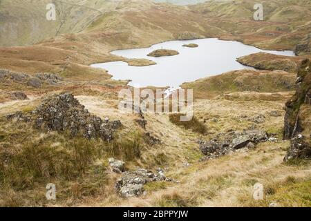 Angolo Tarn visto da Anglicarn Pikes, nel Distretto dei Laghi Inglese Foto Stock