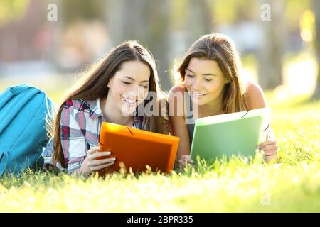 Vista frontale di due felici gli studenti di leggere le note insieme sdraiati sull'erba in un parco Foto Stock