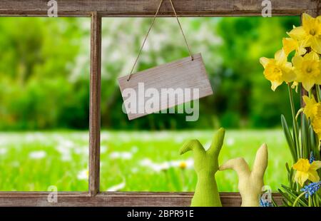 Segno con copia spazio per la pubblicità. Sul telaio di una finestra con vista sul bellissimo prato verde. Coniglietto di Pasqua e Narciso nella parte anteriore Foto Stock