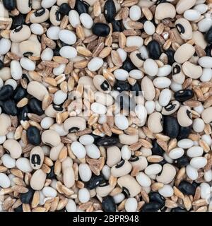 Un misto di cereali secchi (ortografati, orzo e fagioli) come sfondo Foto Stock