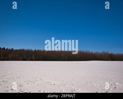 Il bordo di una foresta e in primo piano una coperta di neve prato con footprint di fresco. Foto Stock