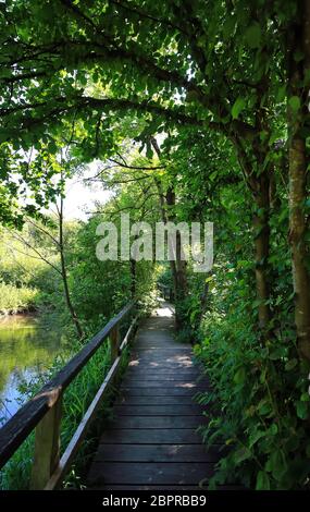 Holzsteg Memmingen è una città in Bayern/Germania con molte attrazioni storiche Foto Stock