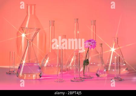 Varietà di riempire parzialmente la vetreria di laboratorio comprendente una testa di fiori in brillante atmosfera rossastra Foto Stock
