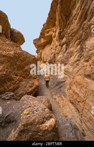 Escursioni a piedi attraverso uno stretto canyon in mosaico Canyon nel Parco Nazionale della Valle della Morte in California Foto Stock