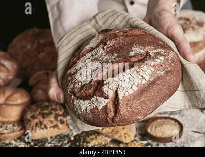 Baker azienda appena sfornato hot pagnotta di pane di segale sul telo in close-up, sopra la tavola con forme di pane e panini assortimento Foto Stock