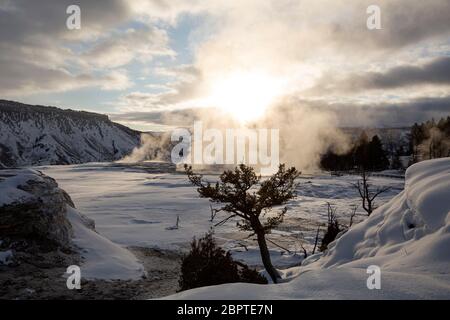 WYOMING - vapore che sale dalla cima delle sorgenti di Canary Spring mentre il sole sale sopra una nuvola nella mattina presto alle sorgenti termali di Mammoth nel parco nazionale di Yellowstone. Foto Stock