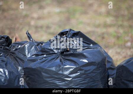 I sacchetti di spazzatura stanno sull'erba. I sacchetti di plastica neri sono pieni. Raccolta foglie in autunno. Le utenze venivano pulite per strada. Foto Stock