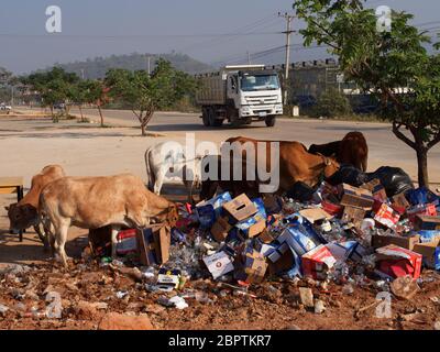 Zona economica Speciale Triangolo d'Oro in Laos Foto Stock