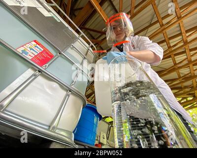 14 maggio 2020, Brandenburg, Kirchmöser: Un tecnico di laboratorio chimico della Deutsche Bahn versa un liquido in un pallone di vetro. Dotata di maschera facciale e contenitori di misurazione, mescola disinfettante per la ferrovia. (A dpa 'Corona: Come la ferrovia si fornisce con disinfettanti') Foto: Paul Zinken/dpa-zb-Zentralbild/dpa Foto Stock