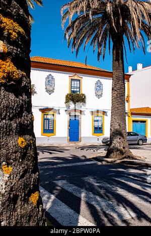 Bell'edificio bianco art deco con finiture blu e giallo incorniciato da due palme ad Aveiro, Portogallo Foto Stock