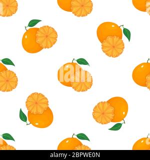 Motivo senza cuciture con fresco esotico intero e tangerina pelata o mandarino isolato su sfondo bianco. Frutta estiva per uno stile di vita sano. Oppure Illustrazione Vettoriale
