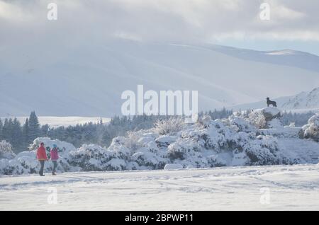 Bella neve scena del Lago tekapo, Nuova Zelanda. La statua di Sheepdog sul bordo del lago Tekapo con la coppia che cammina verso di esso. Foto Stock